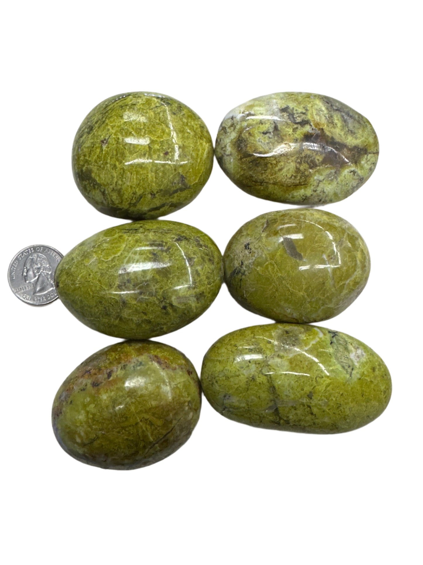 Green Opal Palm Stone