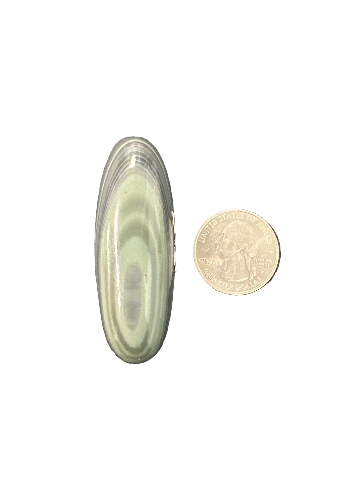 Spider Web Obsidian