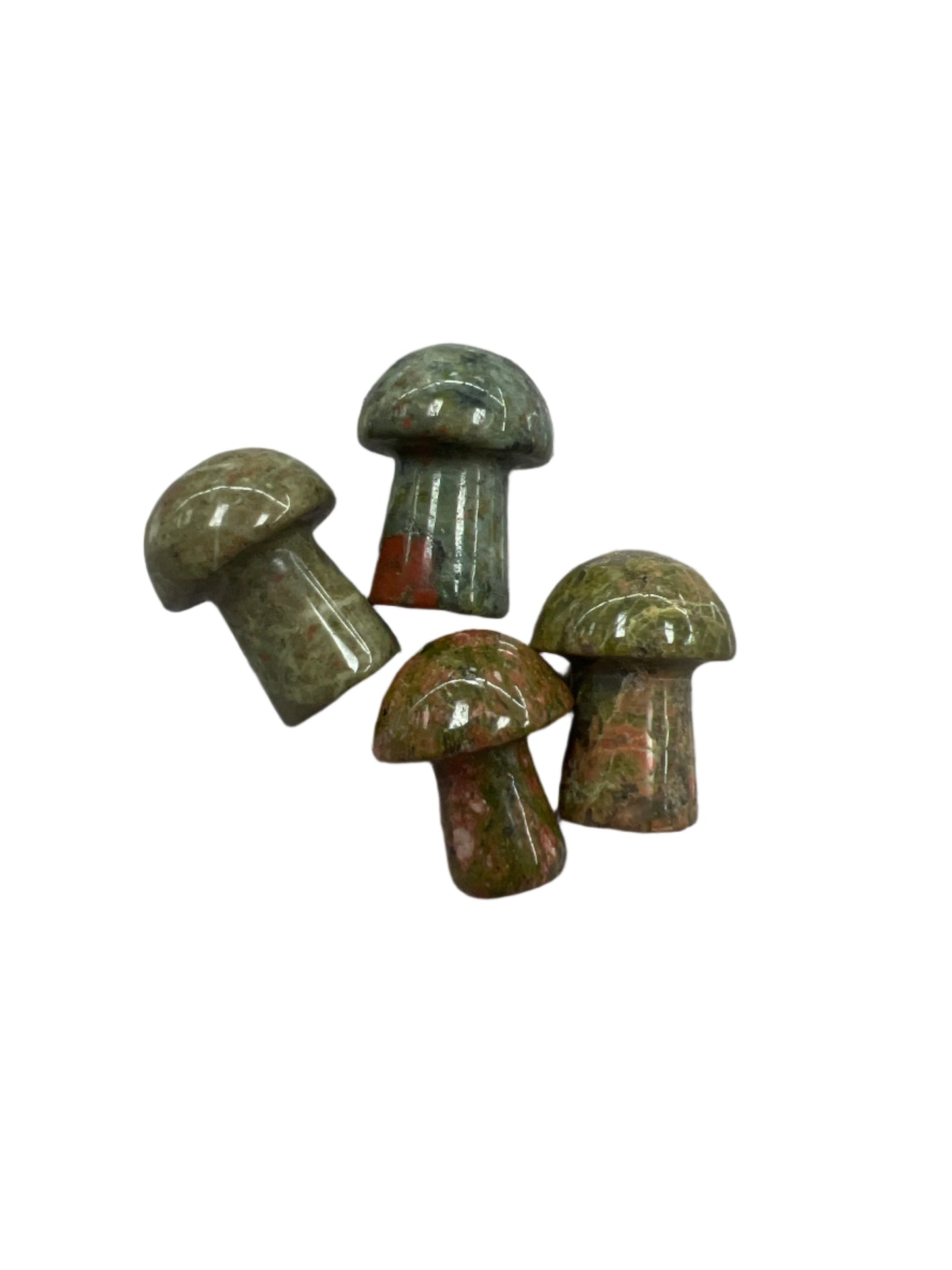 Gemstone mushrooms small