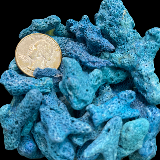 Blue Coral