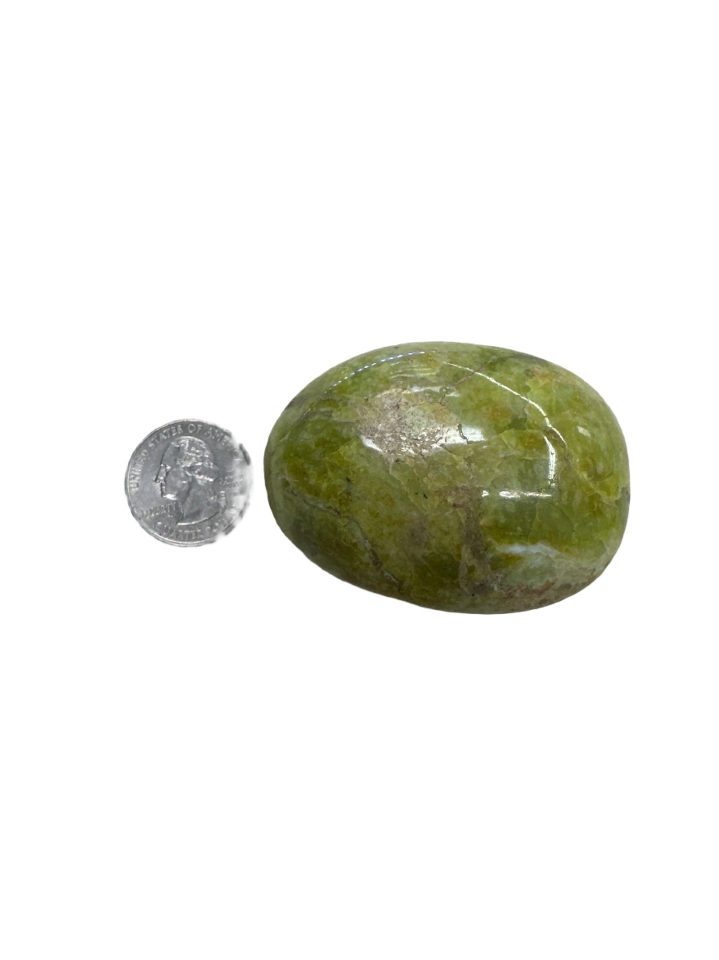 Green Opal Palm Stone