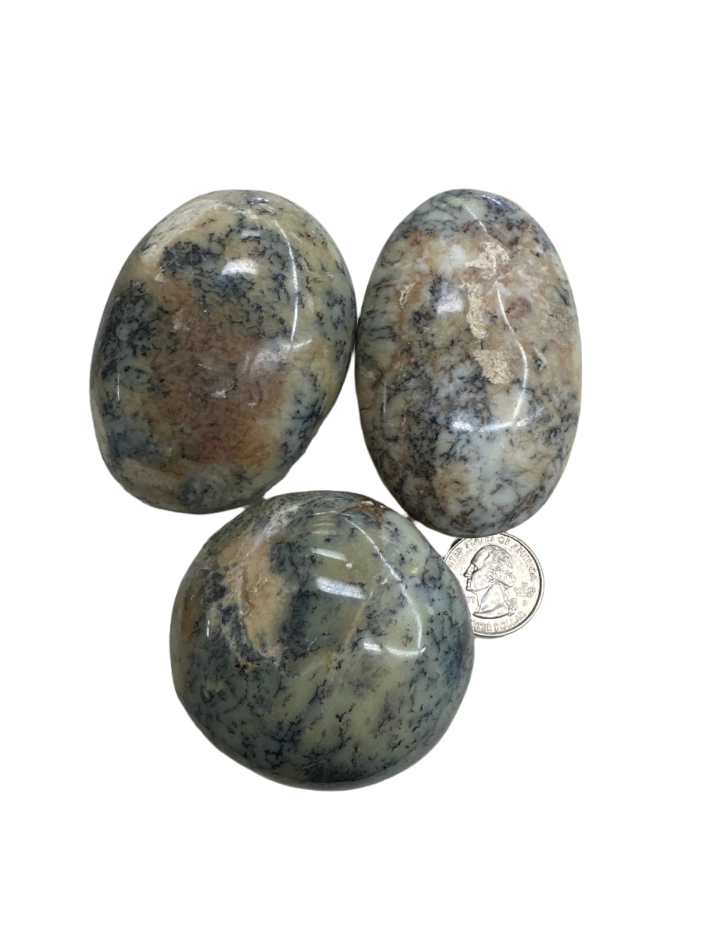 Dendritic Opal Palm Stone