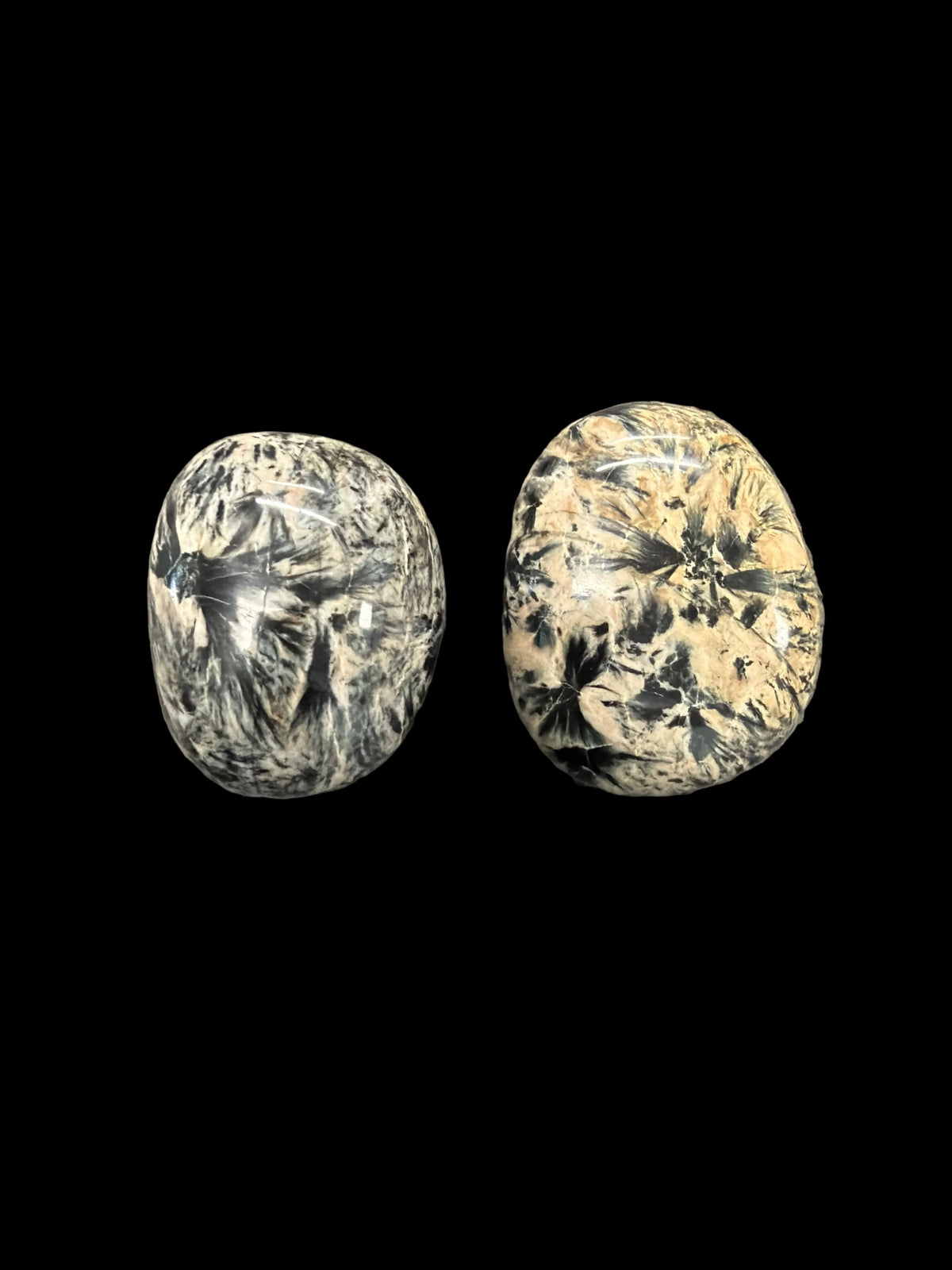 Gedrite Palm Stone