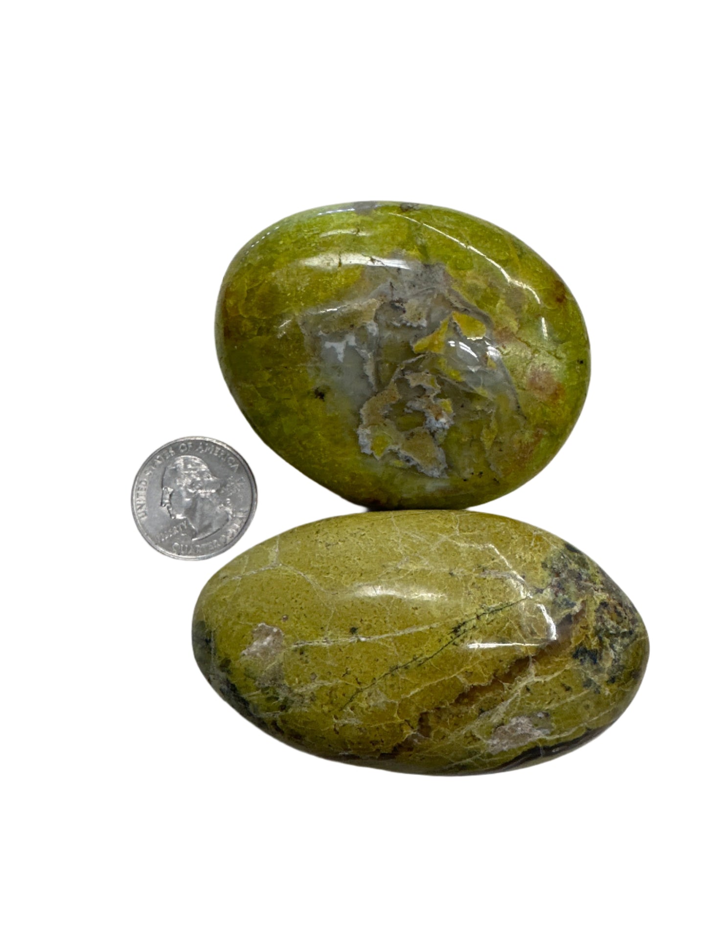 Green Opal Palm Stone