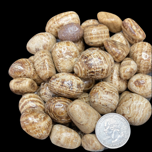 Aragonite Tumbled