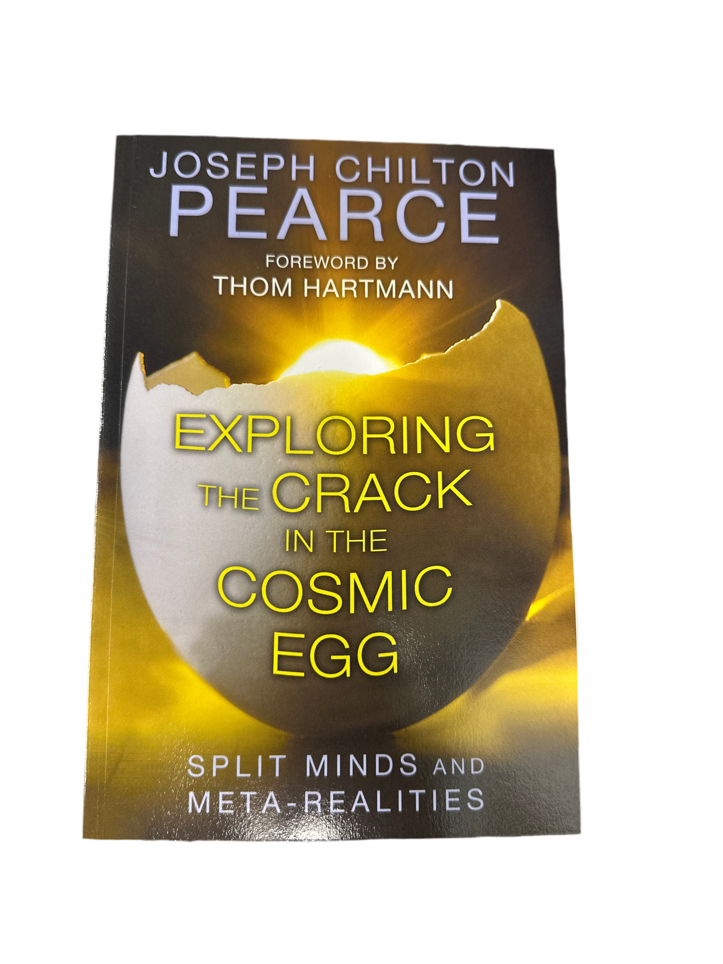 Exploring the Crack in the Cosmic Egg: Split Minds and Meta-Realities