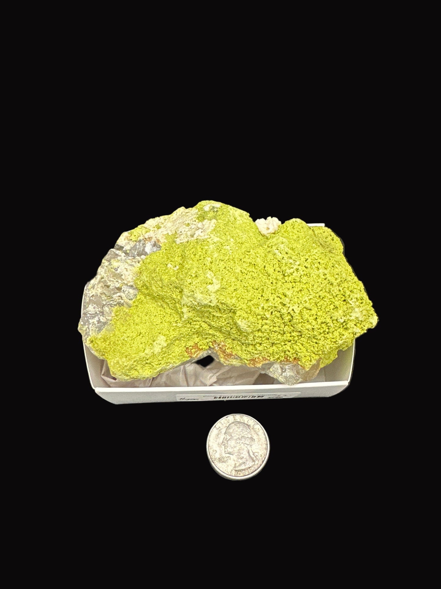 Nontronite