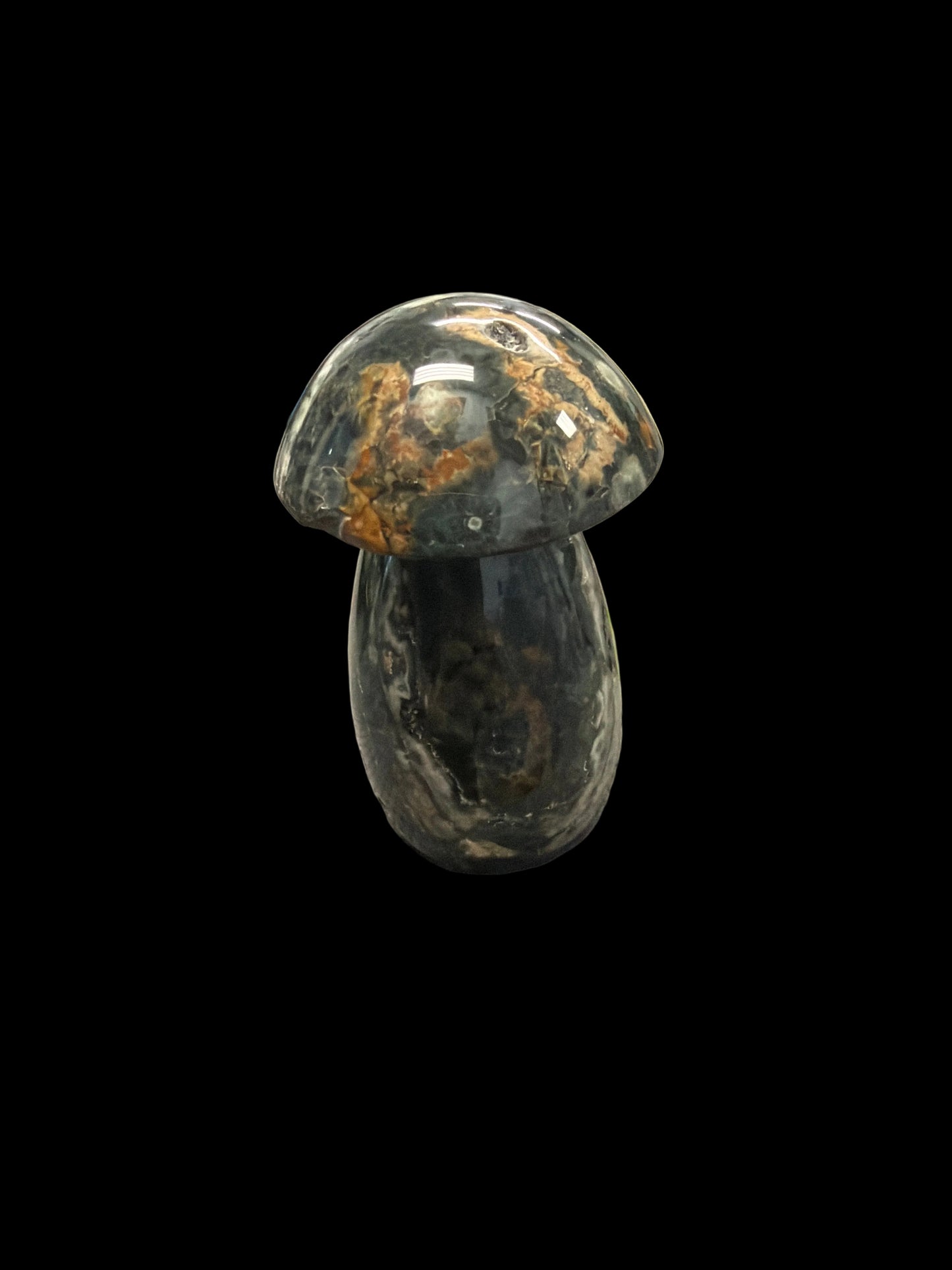 Ocean Jasper Mushroom