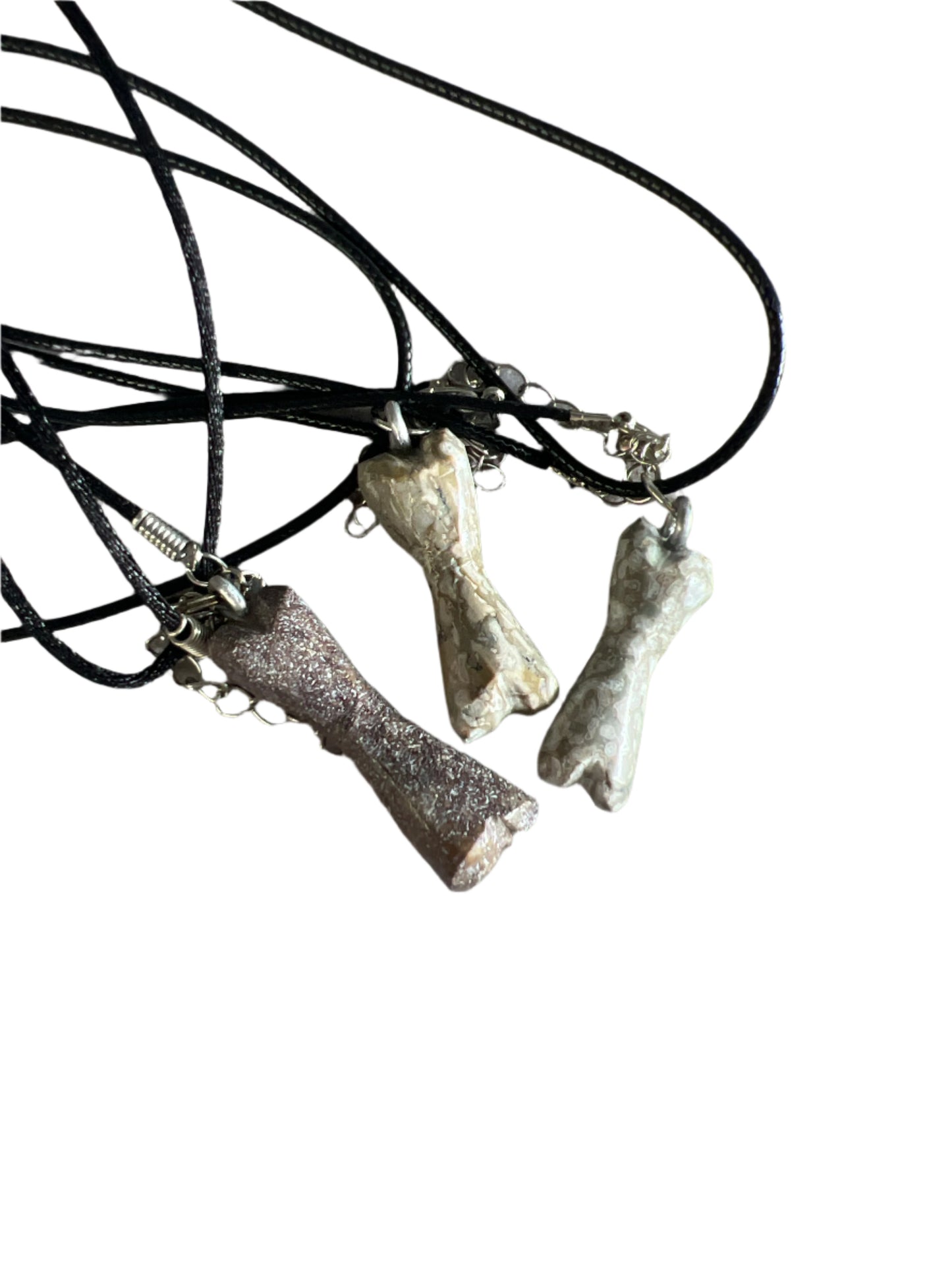 Dinosaur Bone Necklace