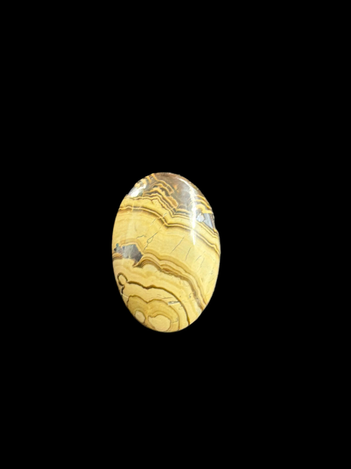 Schalendlende Palm Stone