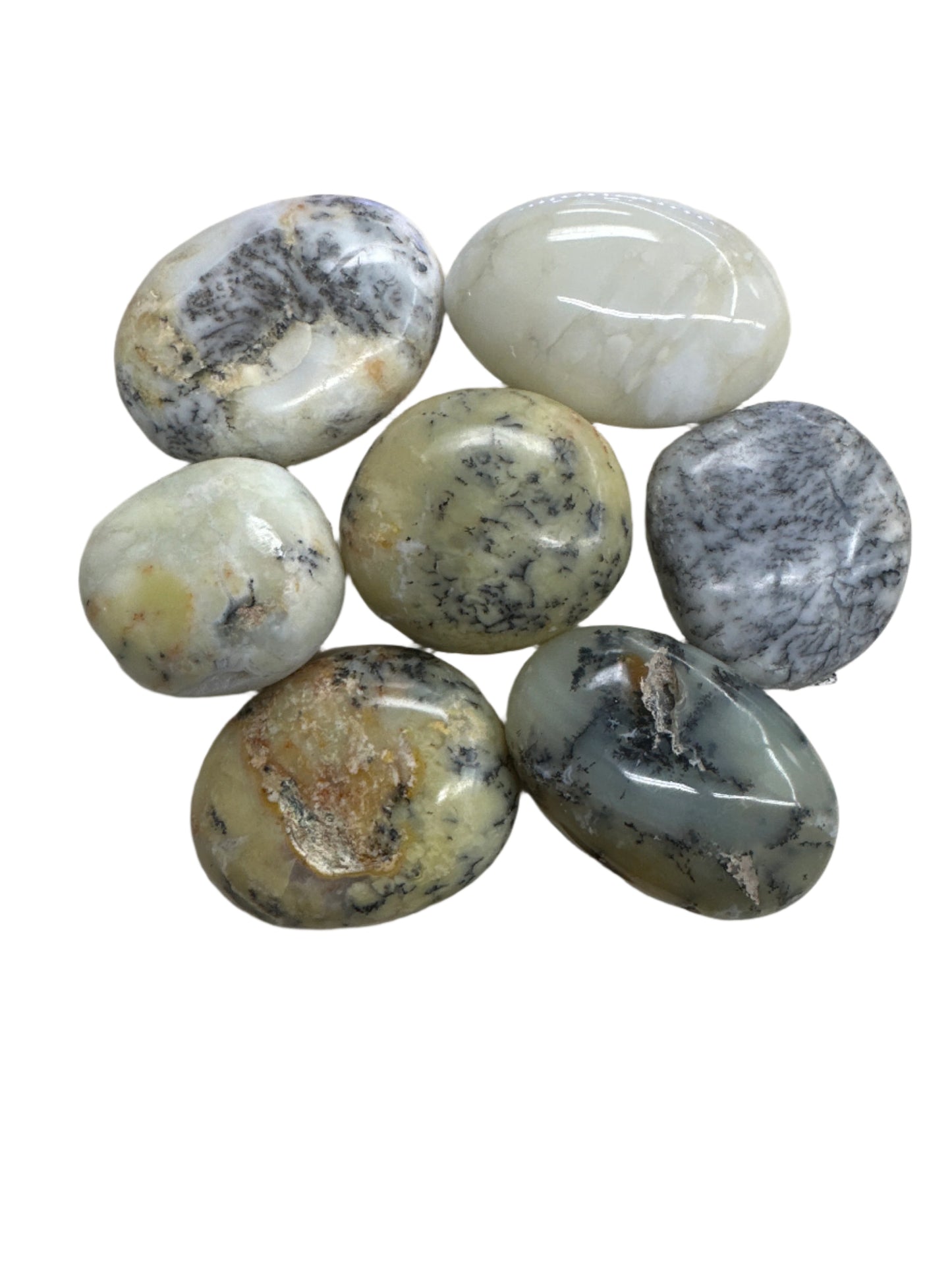 Dendritic Opal Palm Stone