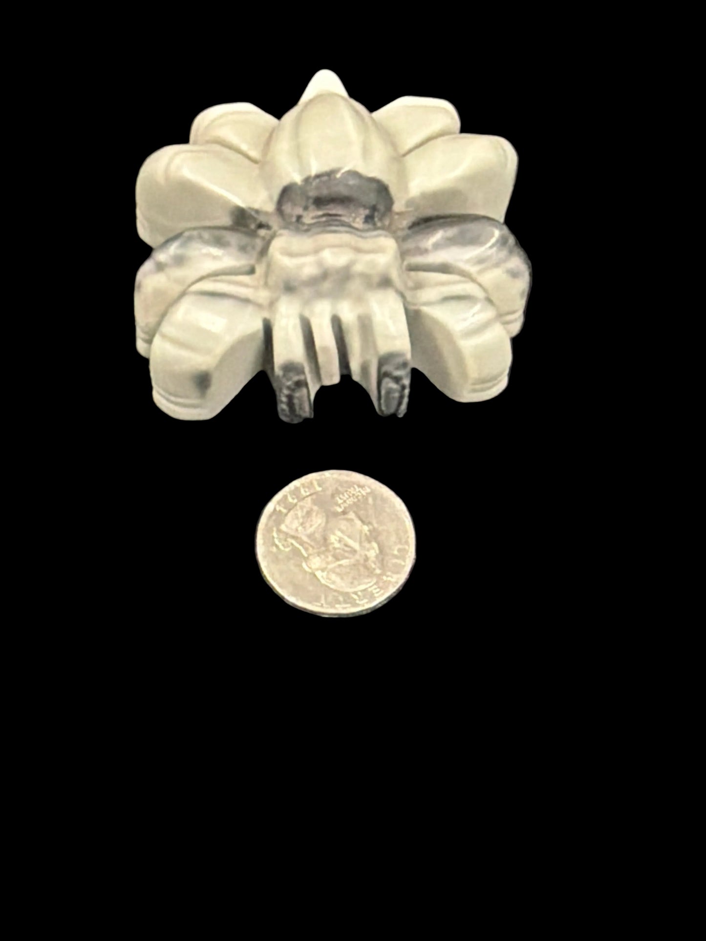 Spiderweb Jasper Spider