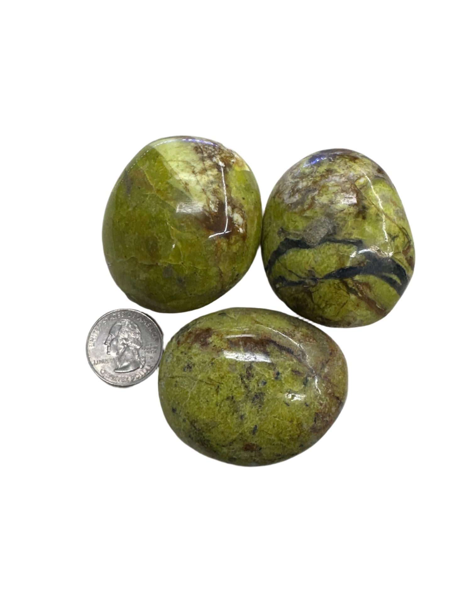 Green Opal Palm Stone