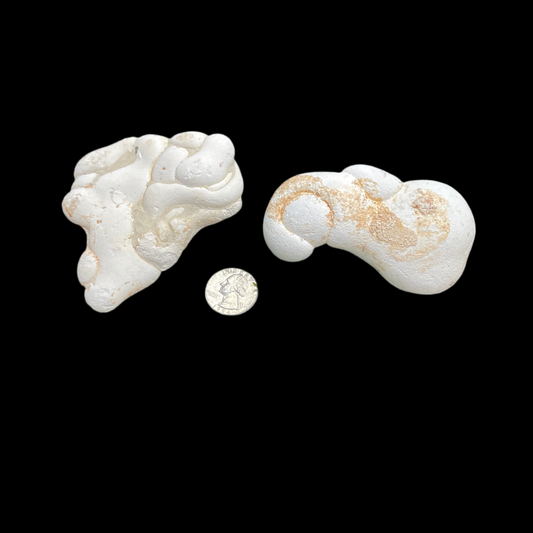 Fairy Stones White