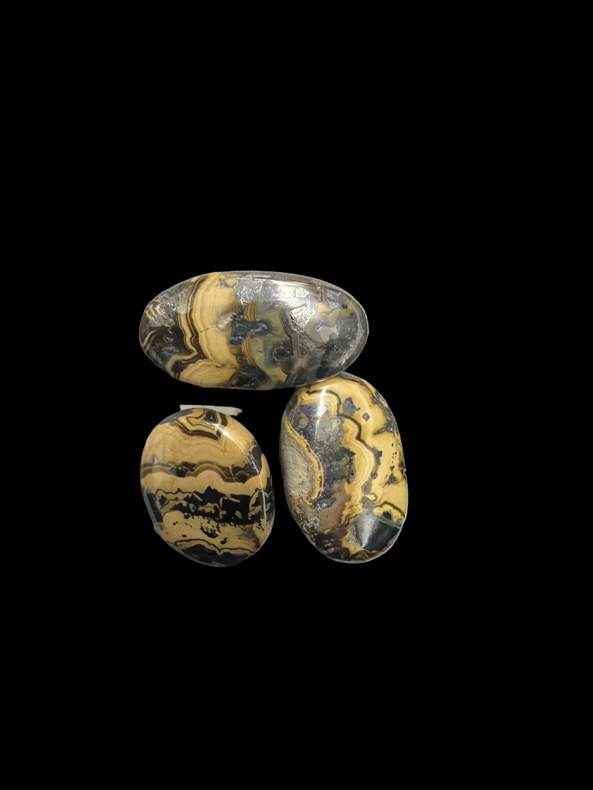 Schalendlende Palm Stone
