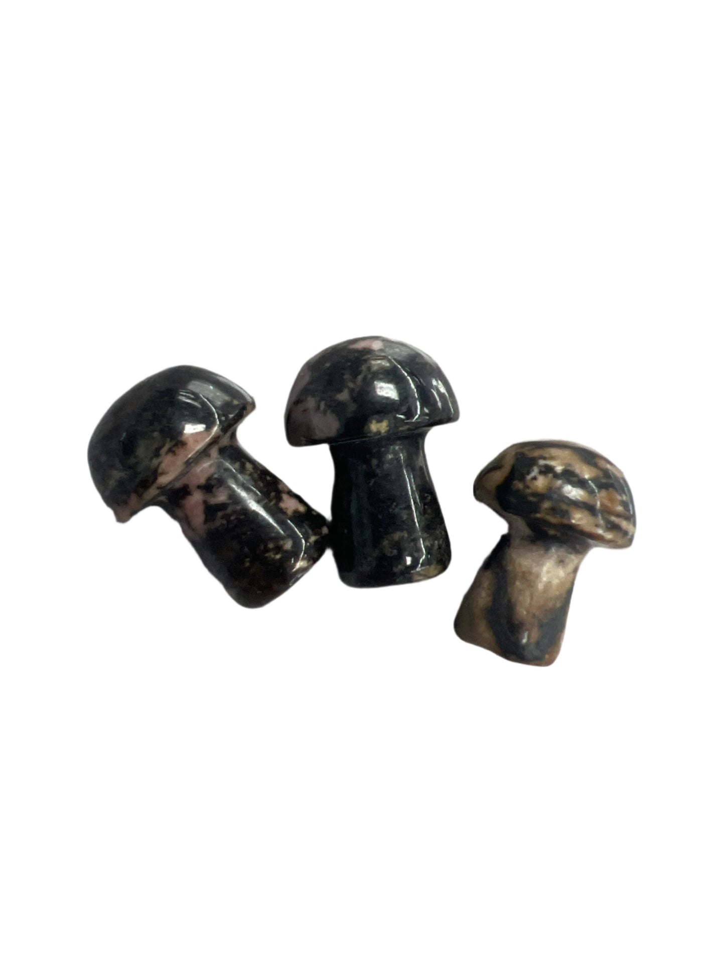 Gemstone mushrooms small