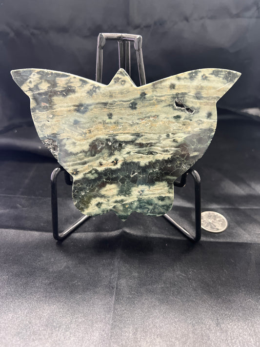 Kambaba Jasper Butterfly