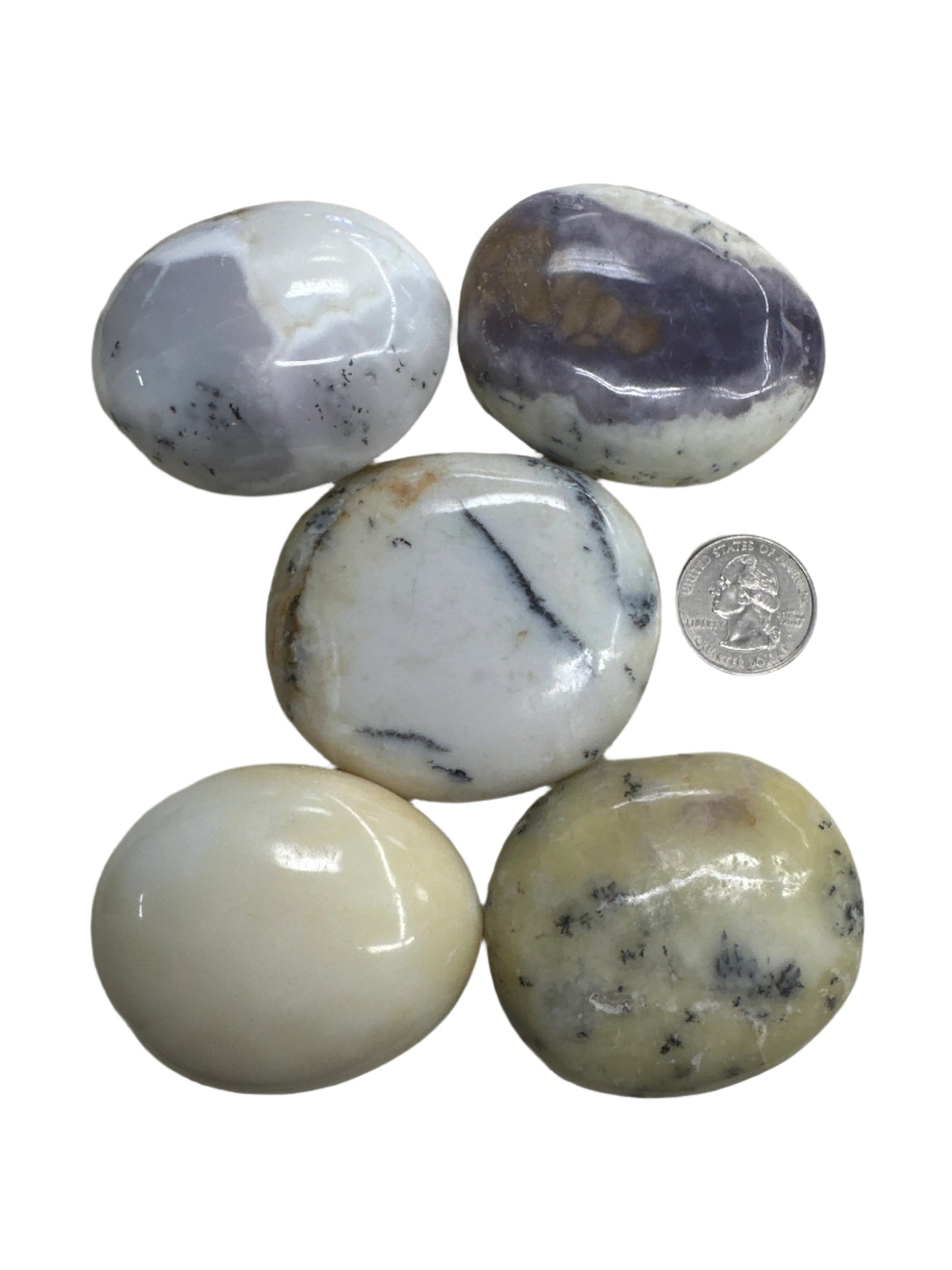 Dendritic Opal Palm Stone