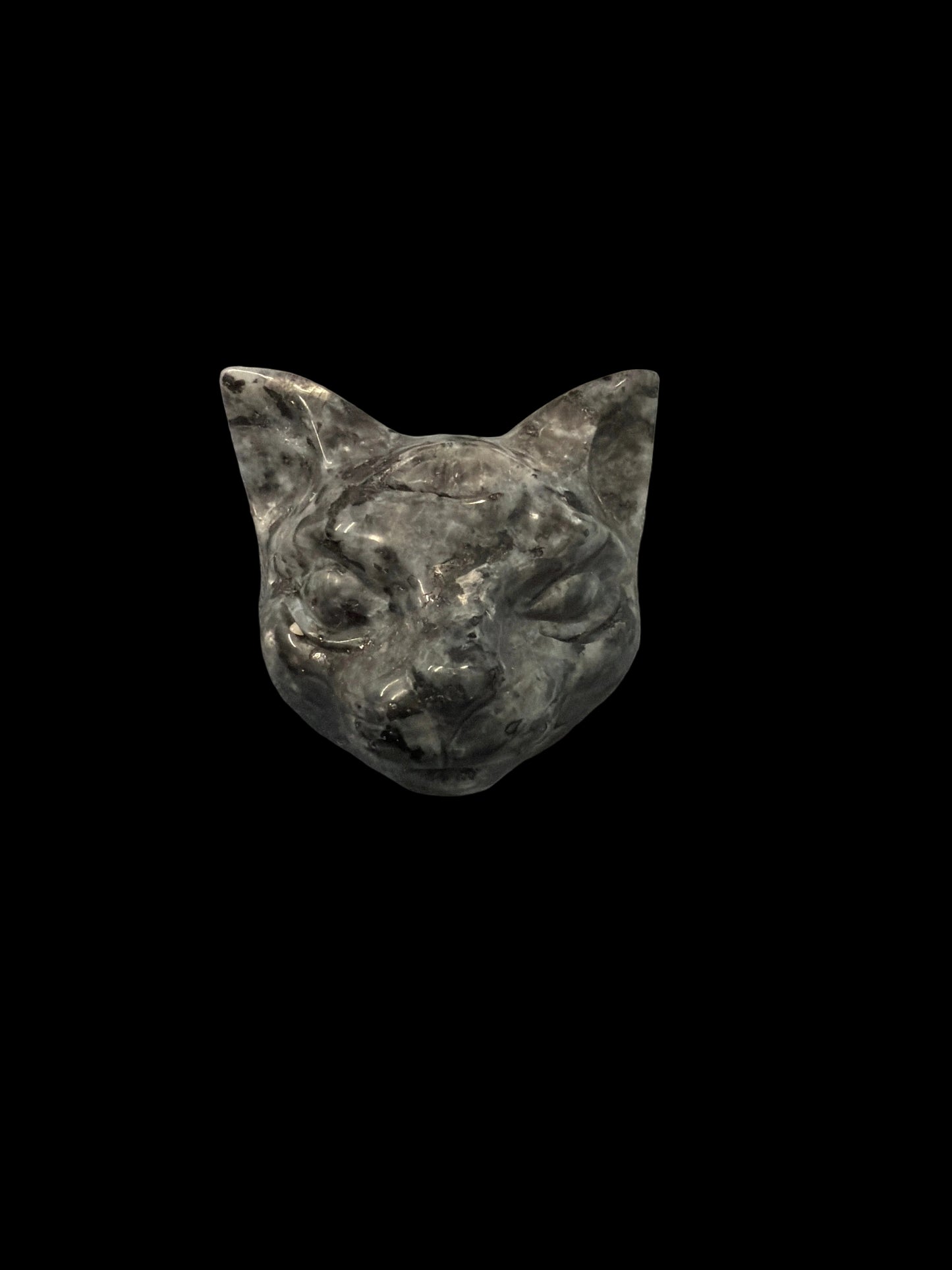 Cat Head 3rd eye