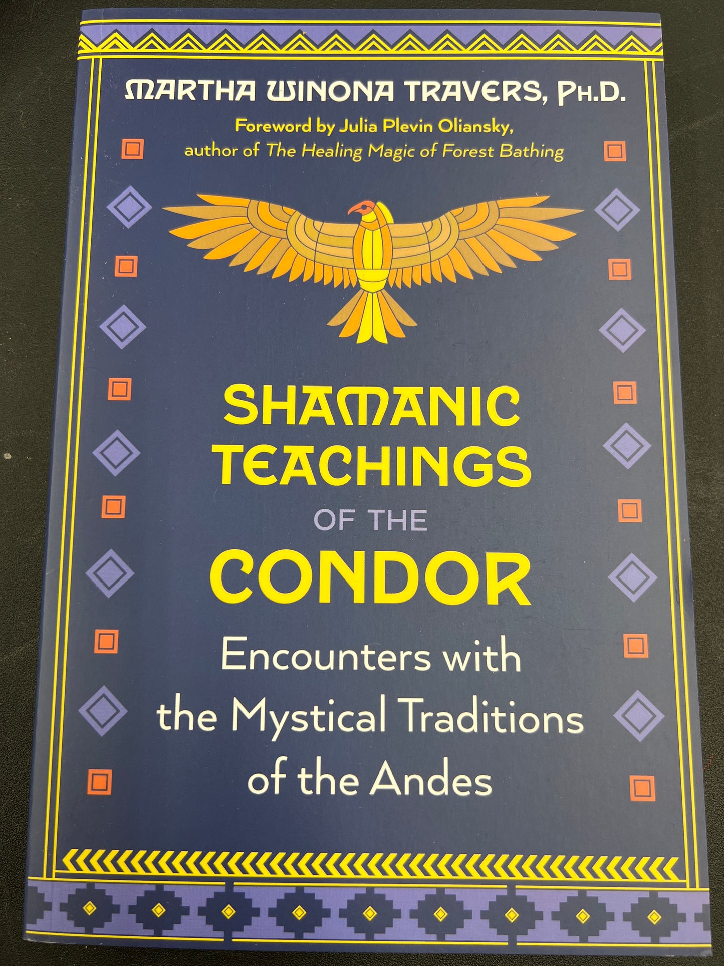 Shamanic Teachings of the Condor: Encounters with the Mystical Traditions of the Andes