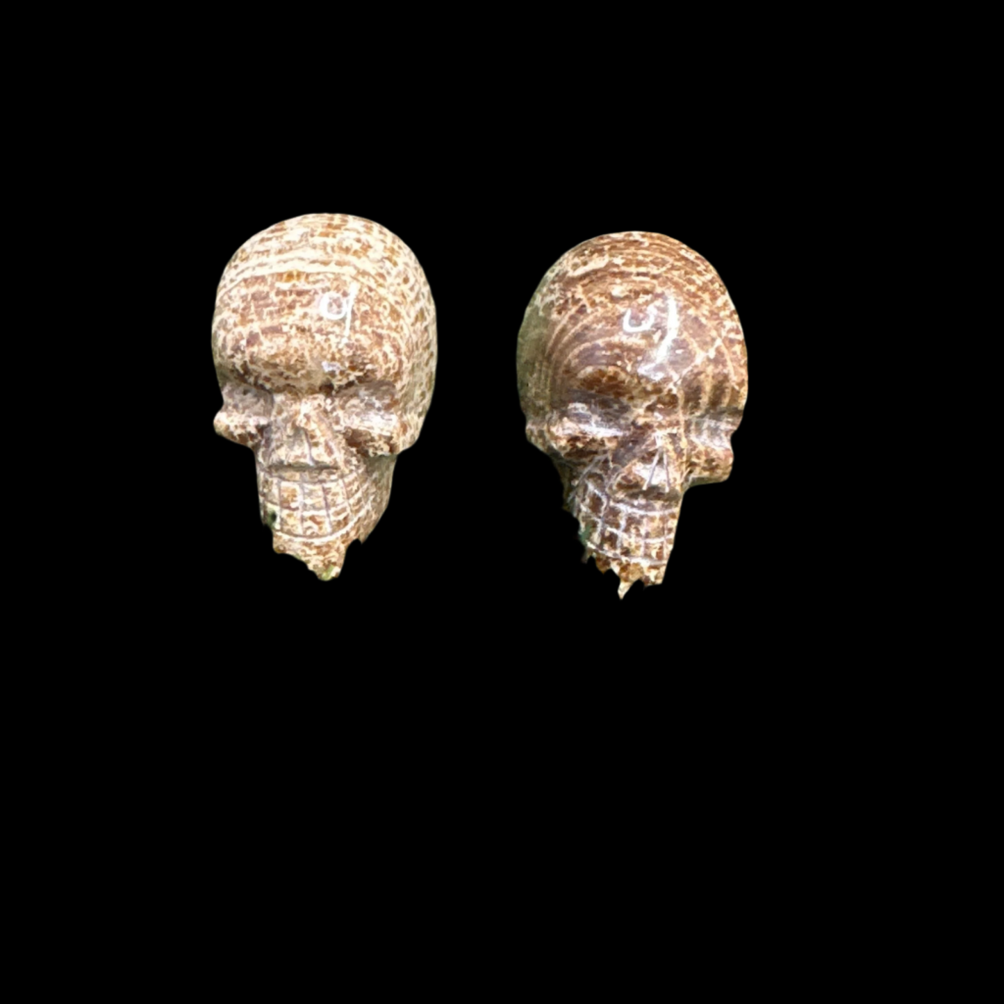 Aragonite Skull