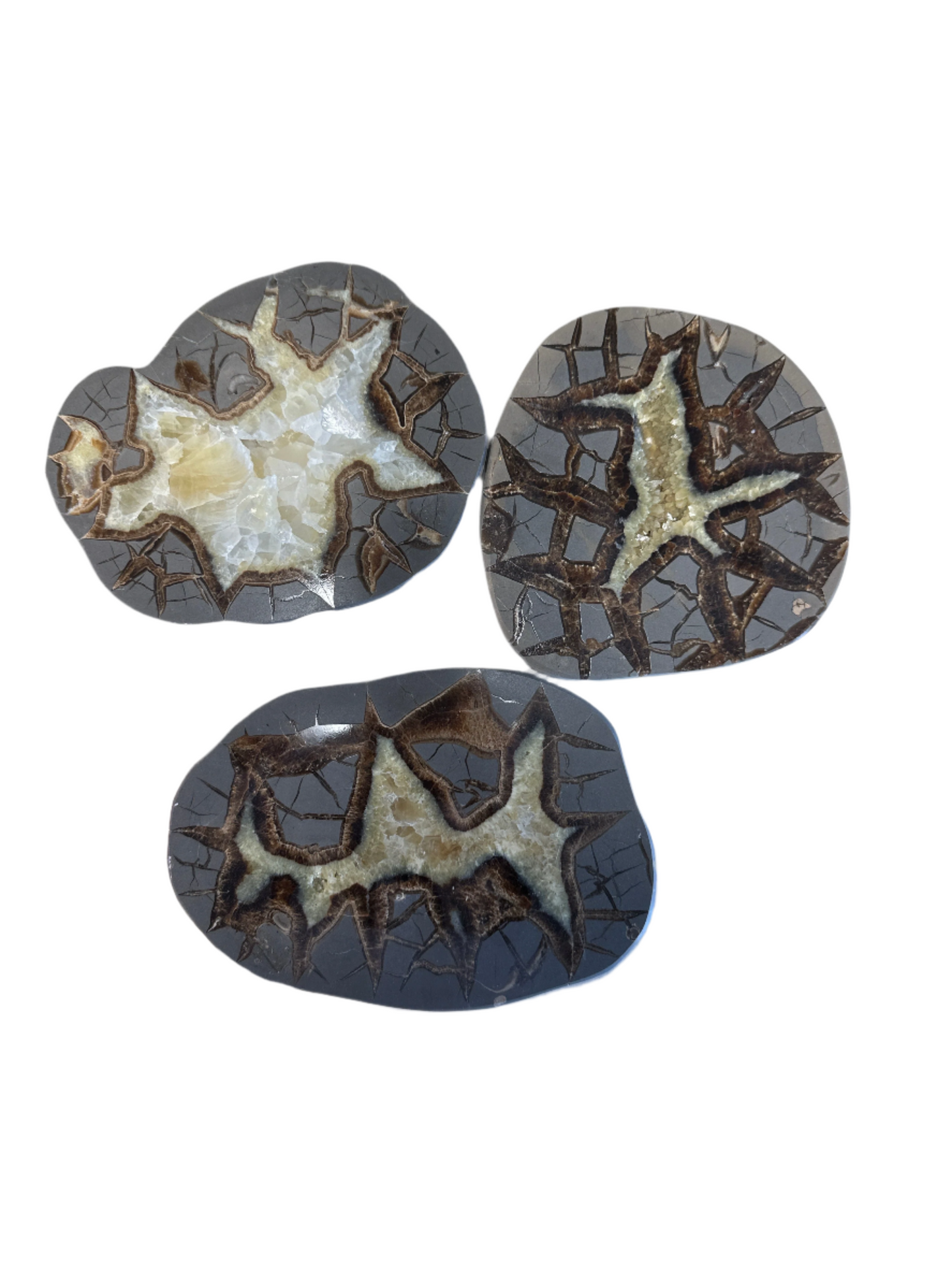 Septarian Slab