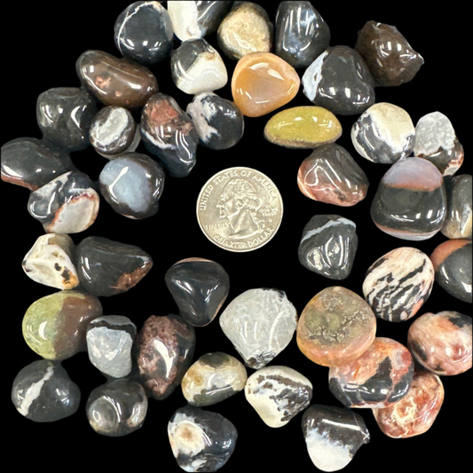 Black Sardonyx