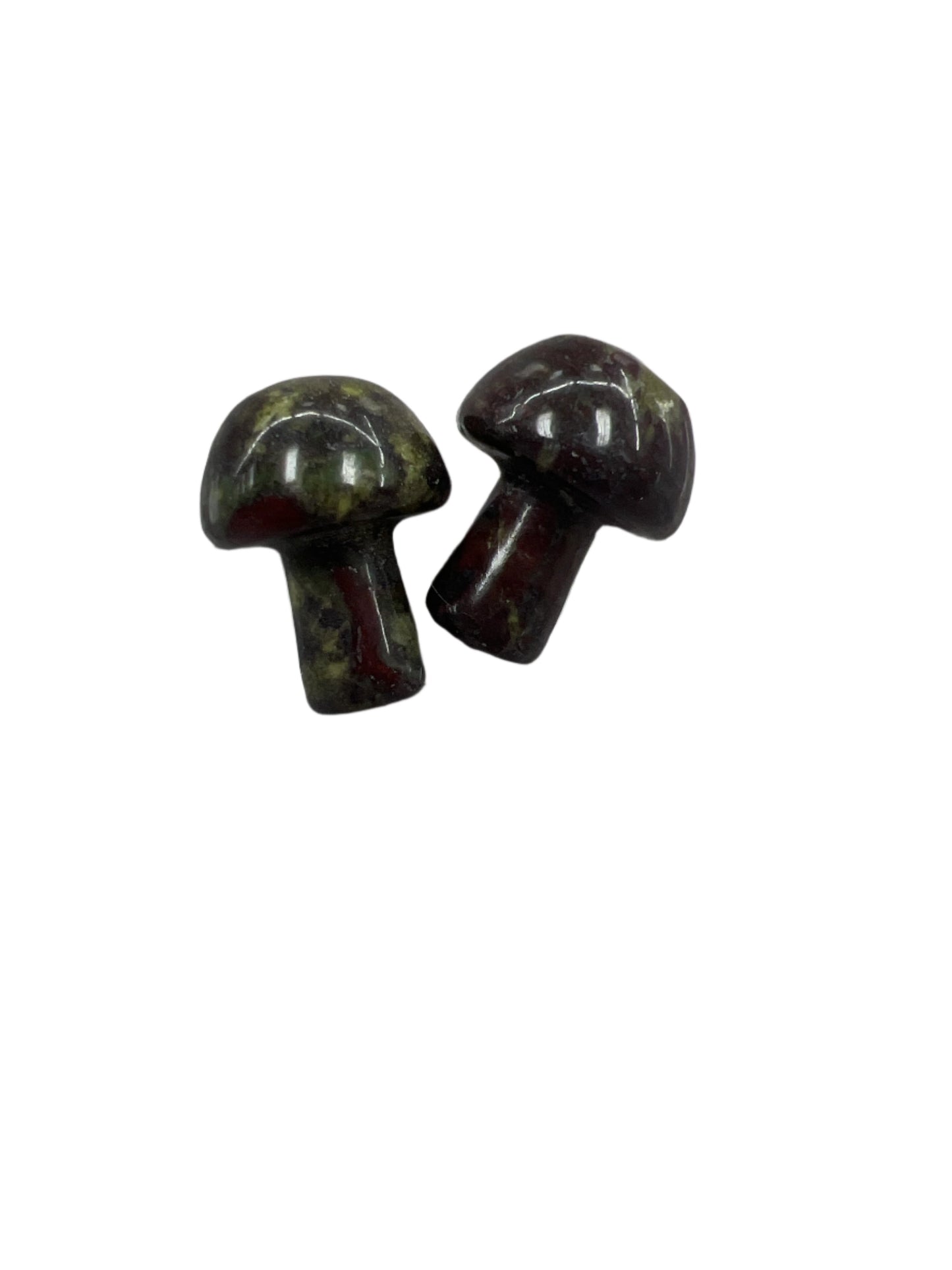 Gemstone mushrooms small