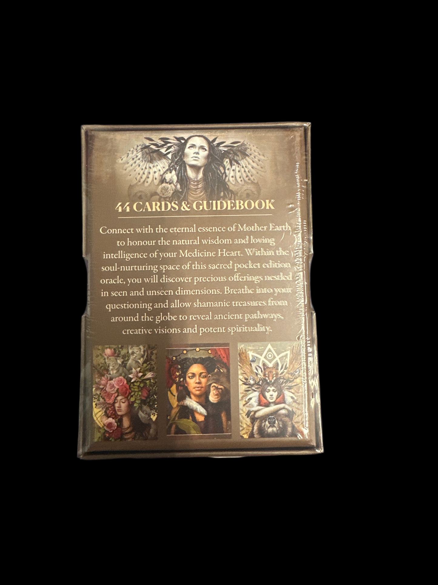 Medicine Heart Oracle Pocket Panda Edition