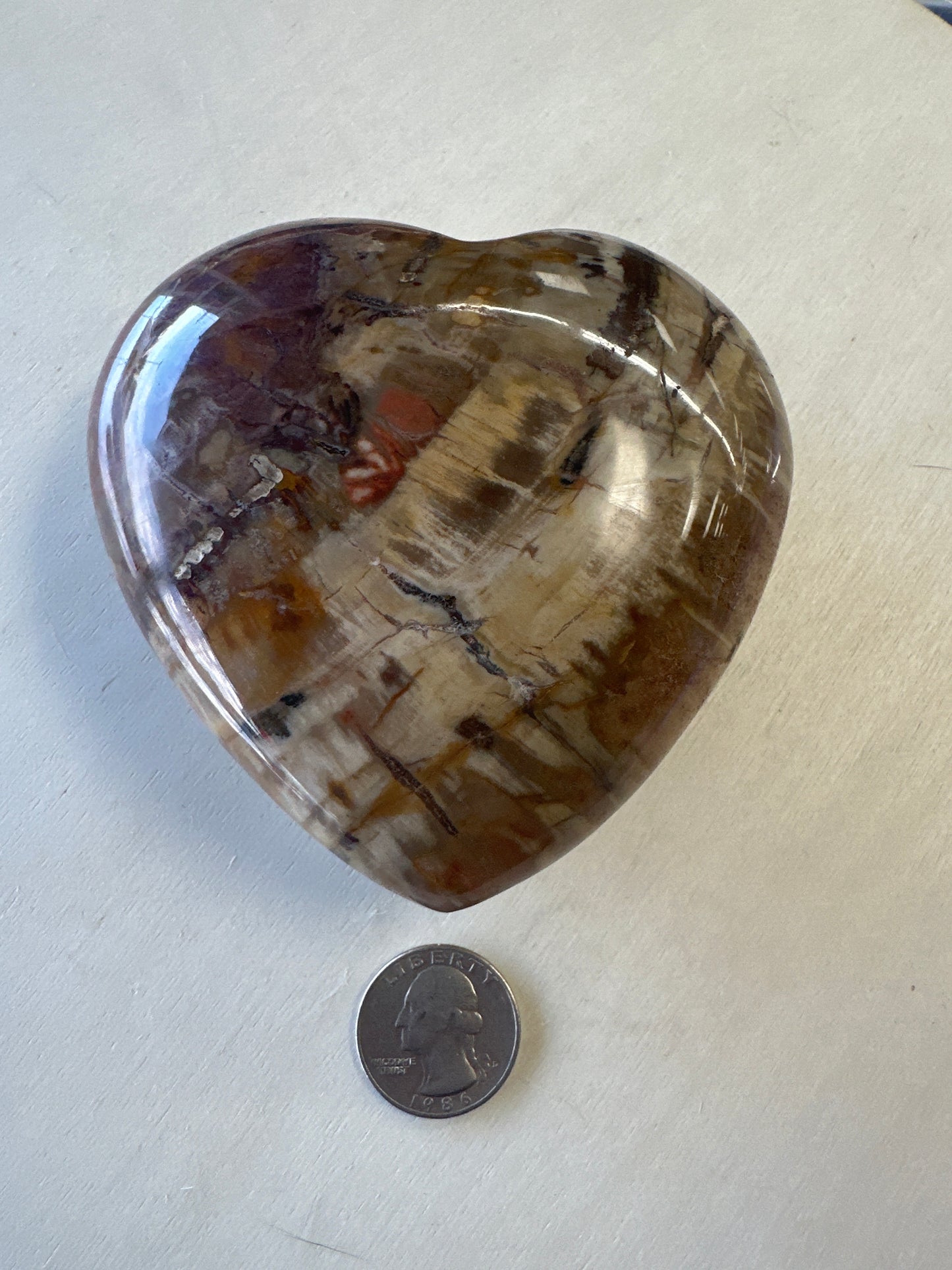 Petrified Wood Heart