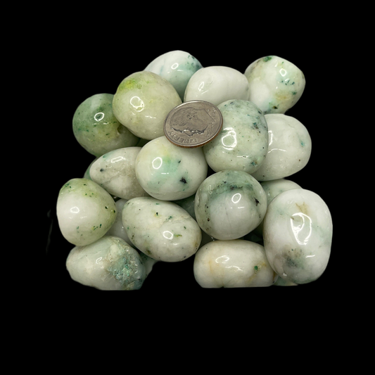 Kiwi Jasper Tumbled