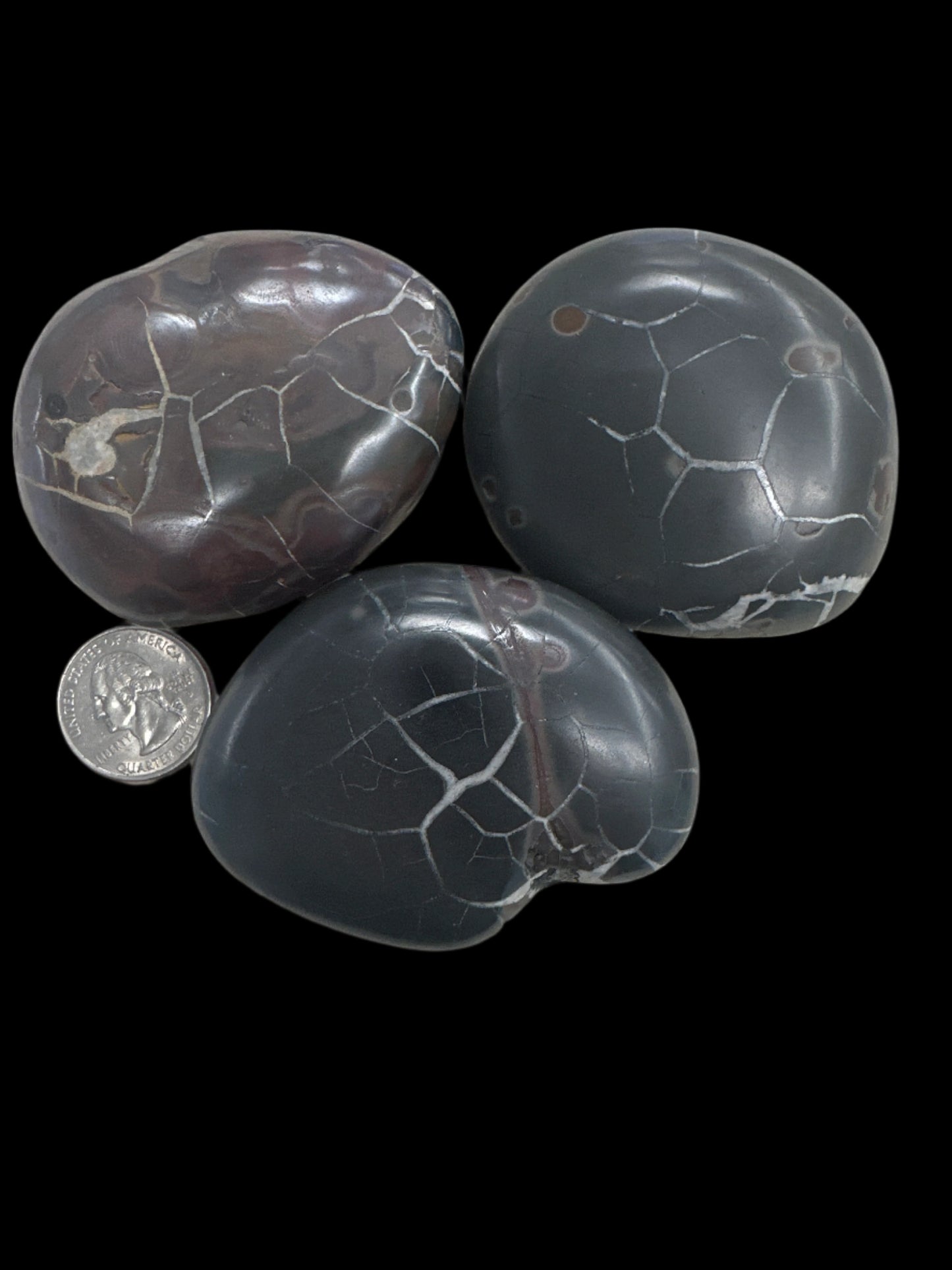 Moroccan Black Septarian Palm Stone