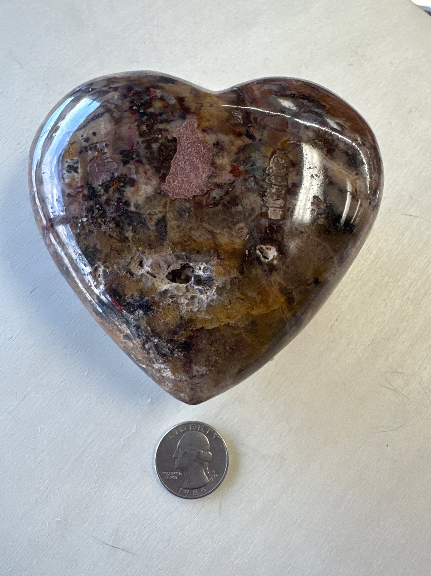 Petrified Wood Heart