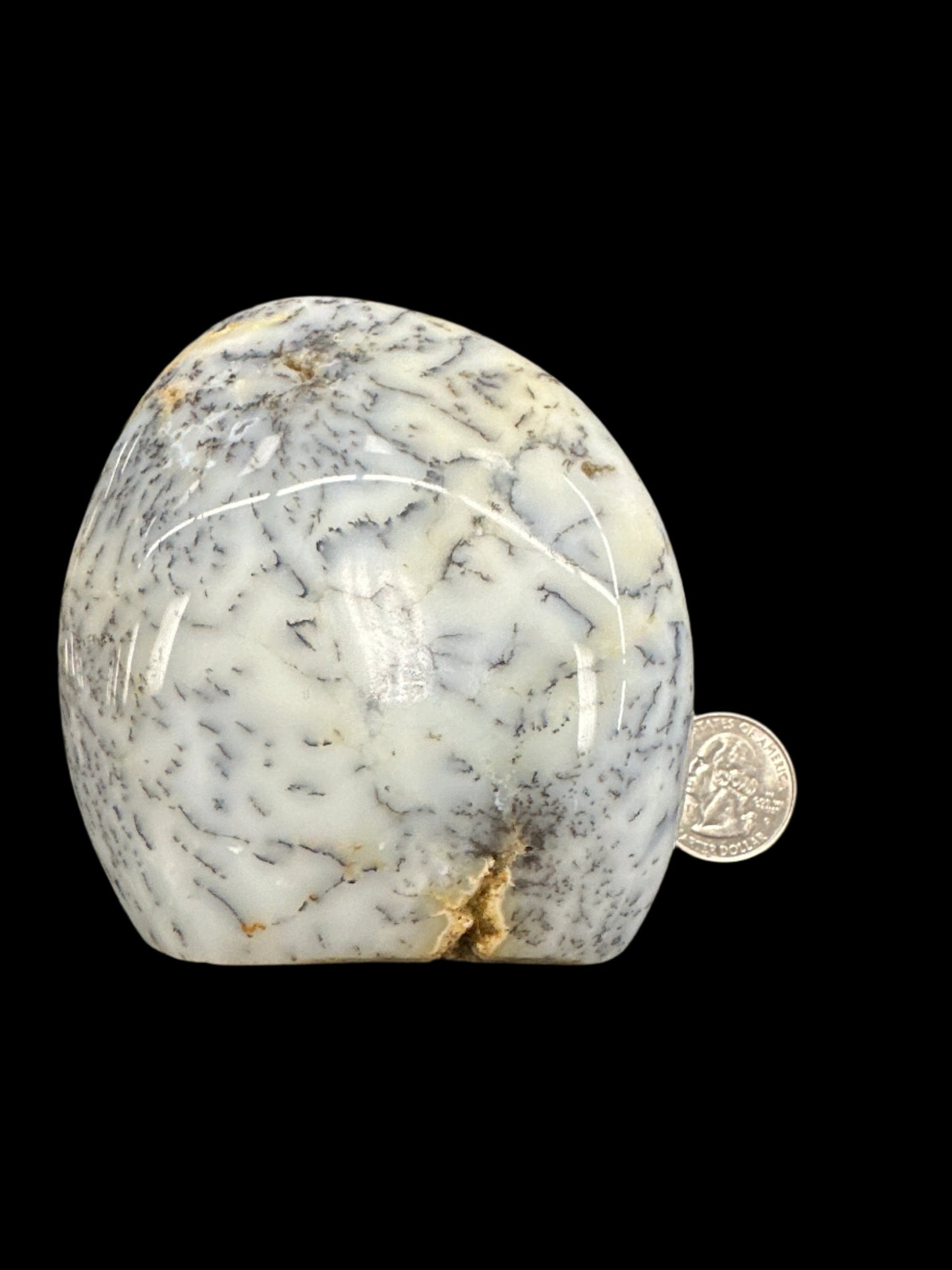 Dendritic Agate Freeform