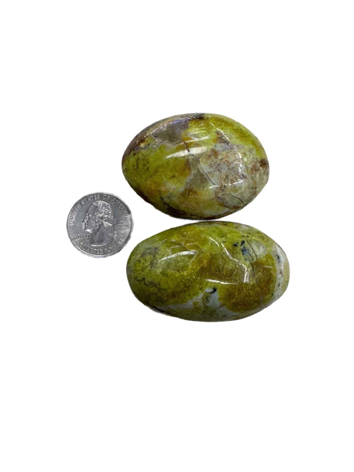 Green Opal Palm Stone