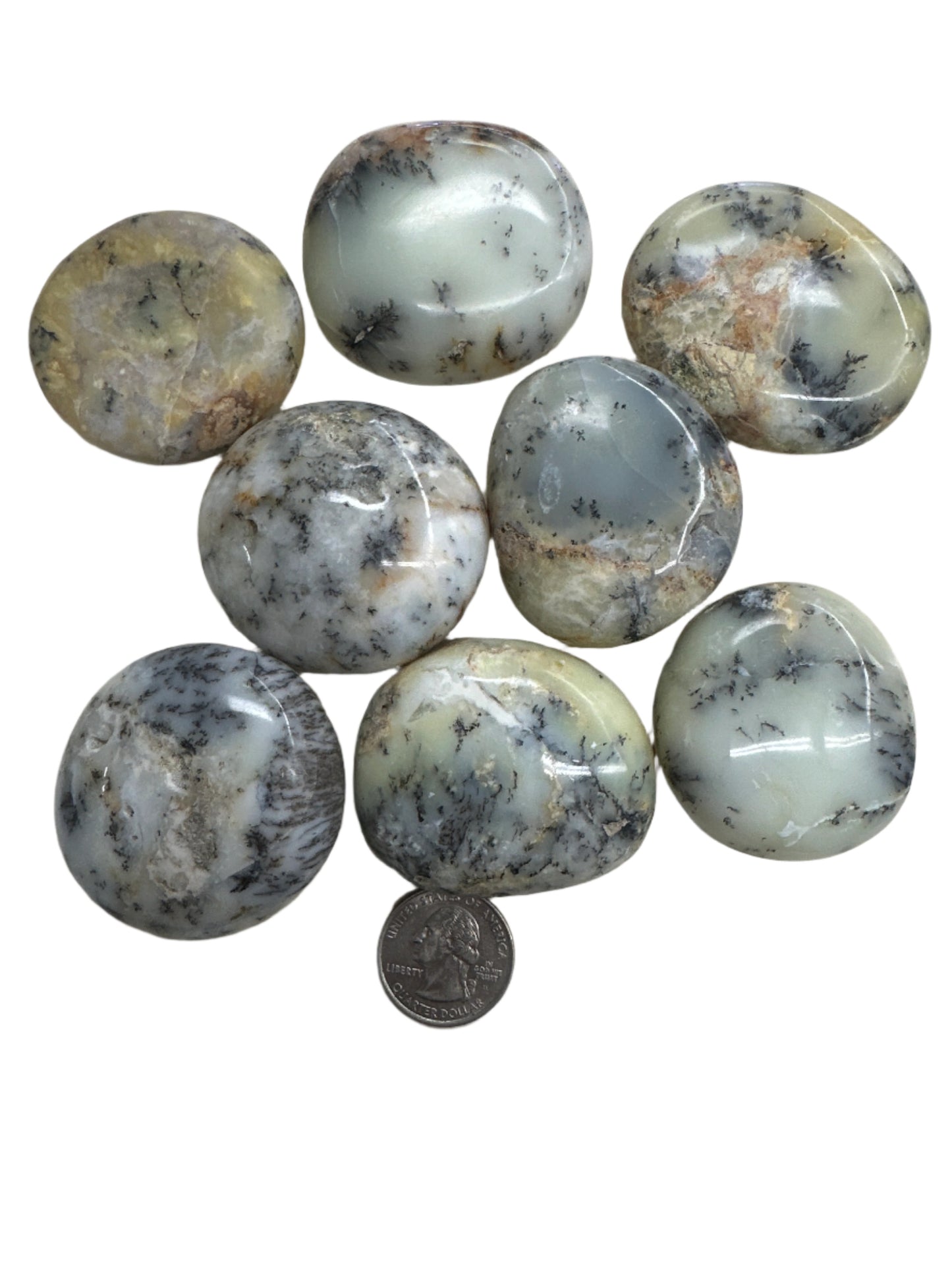 Dendritic Opal Palm Stone