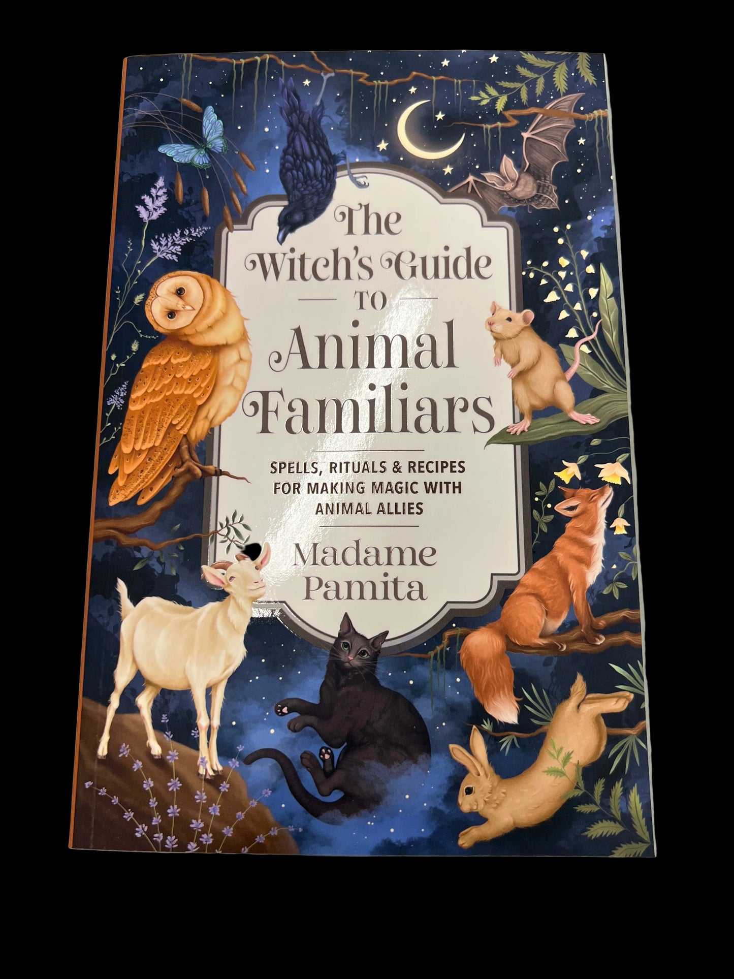 The Witch’s Guide to Animal Familiars