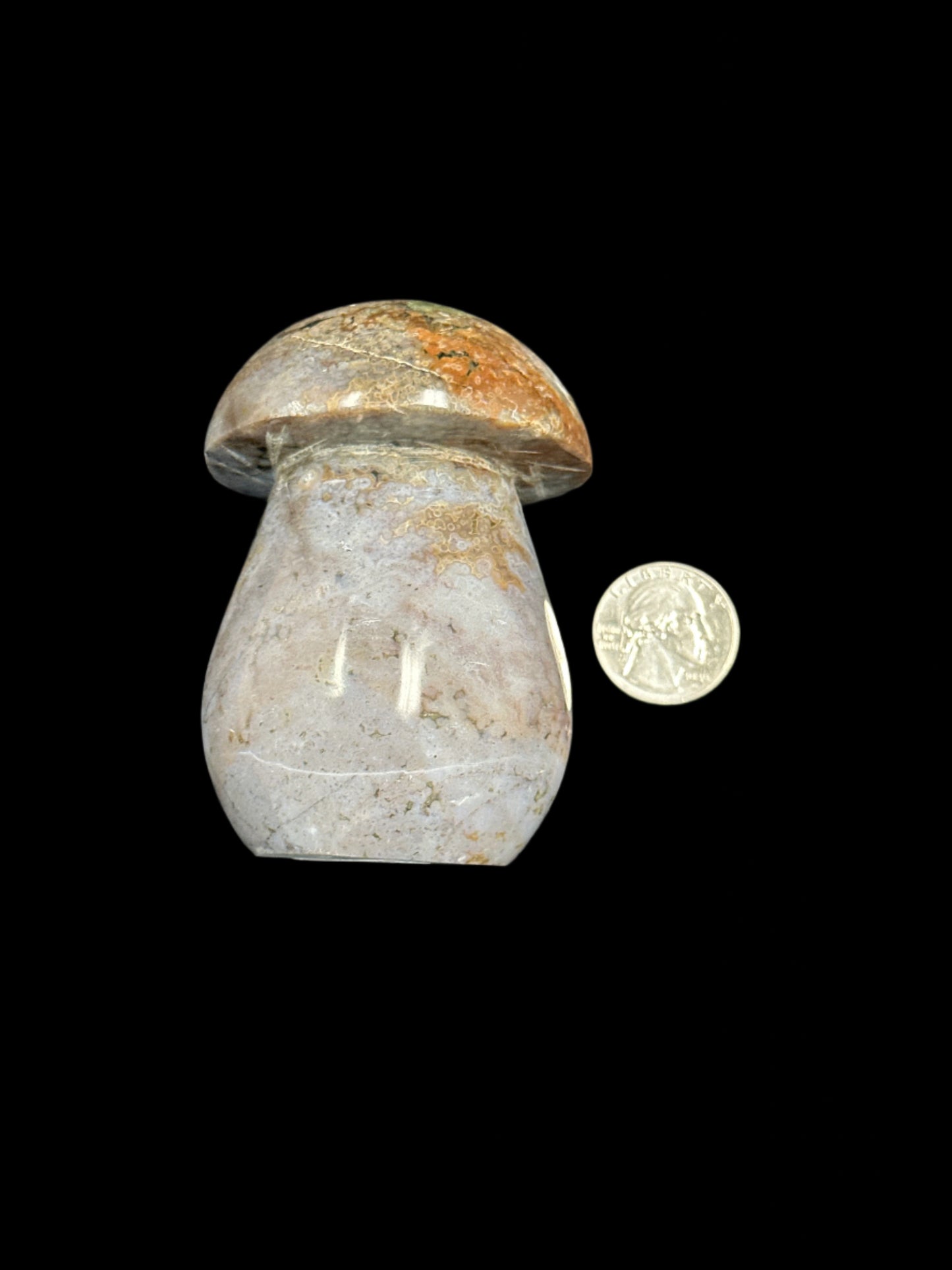Ocean Jasper Mushroom