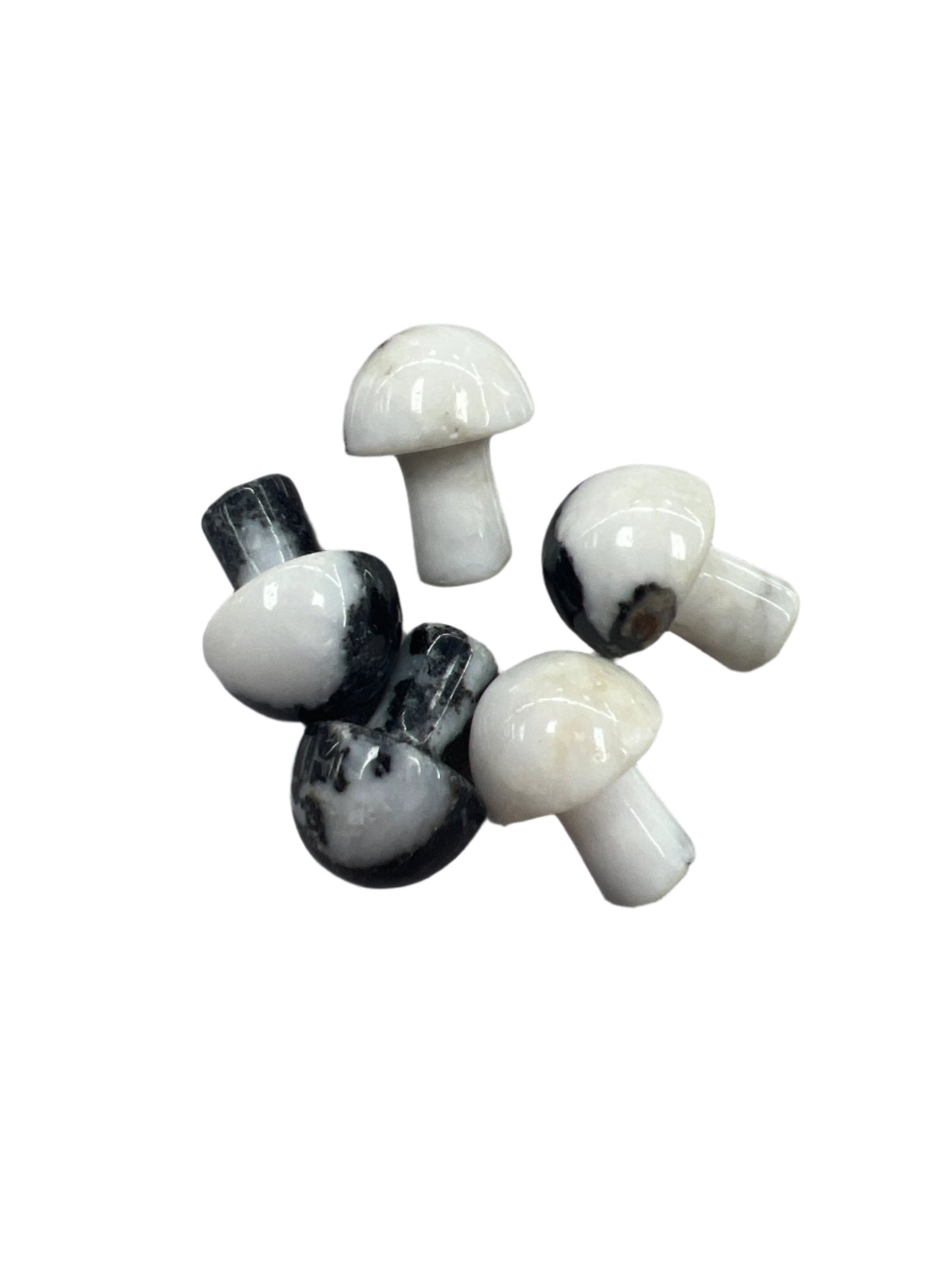 Gemstone mushrooms small