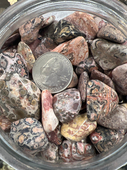 Leopard Skin Jasper