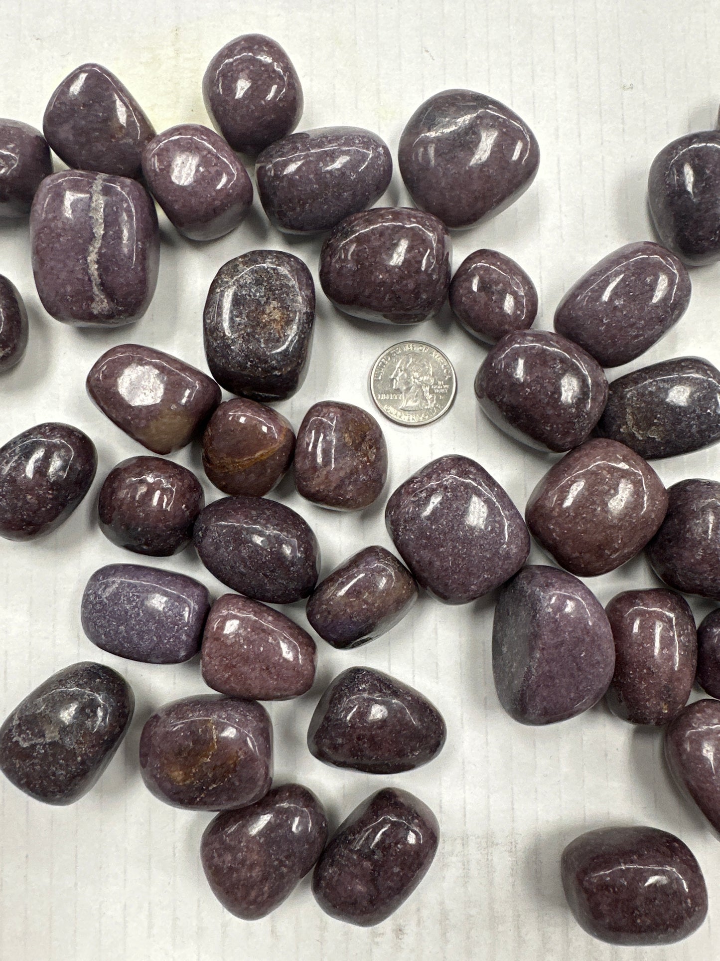 Lepidolite Tumbled (Large)