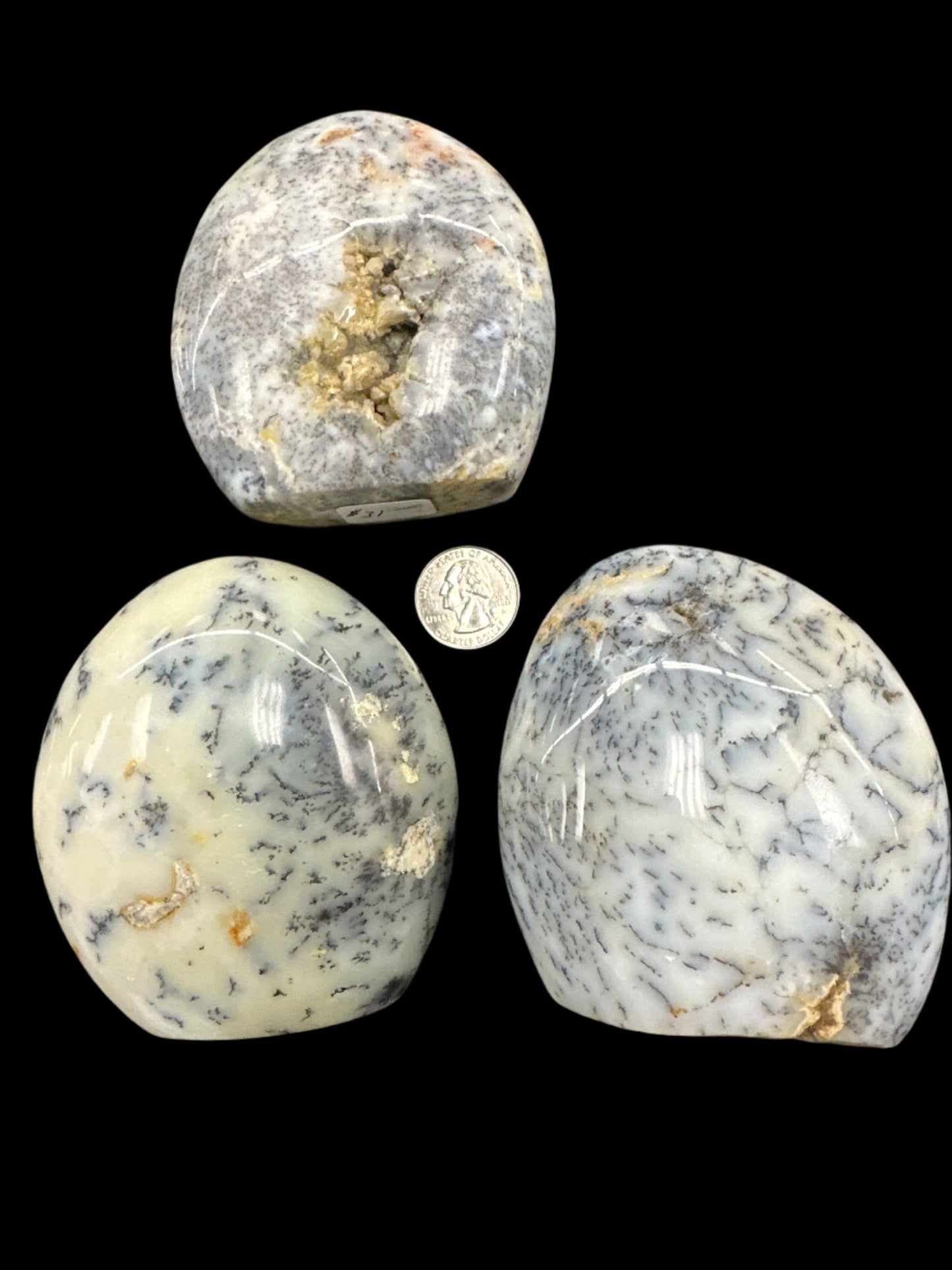 Dendritic Agate Freeform