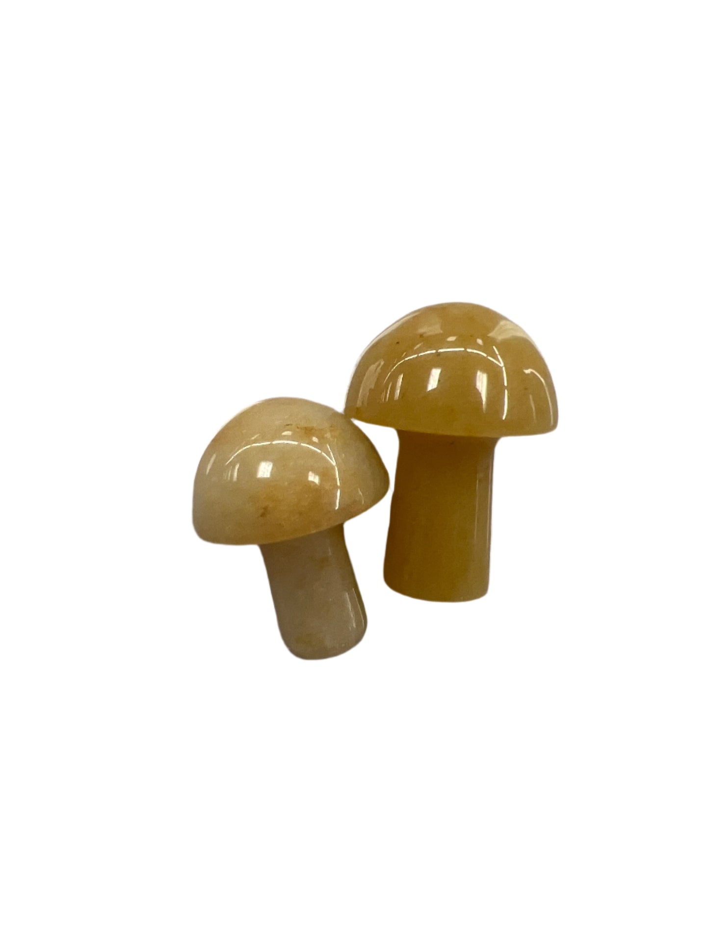 Gemstone mushrooms small