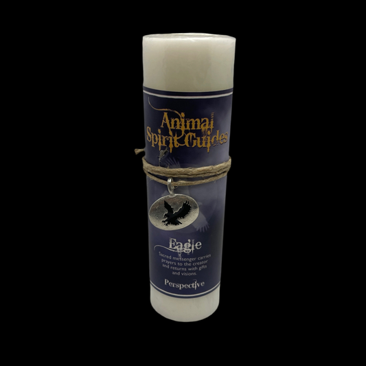 Animal Spirit Guide  - Eagle (Silver or Gold Charm)