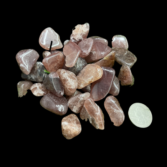 Cherry Tanzurine