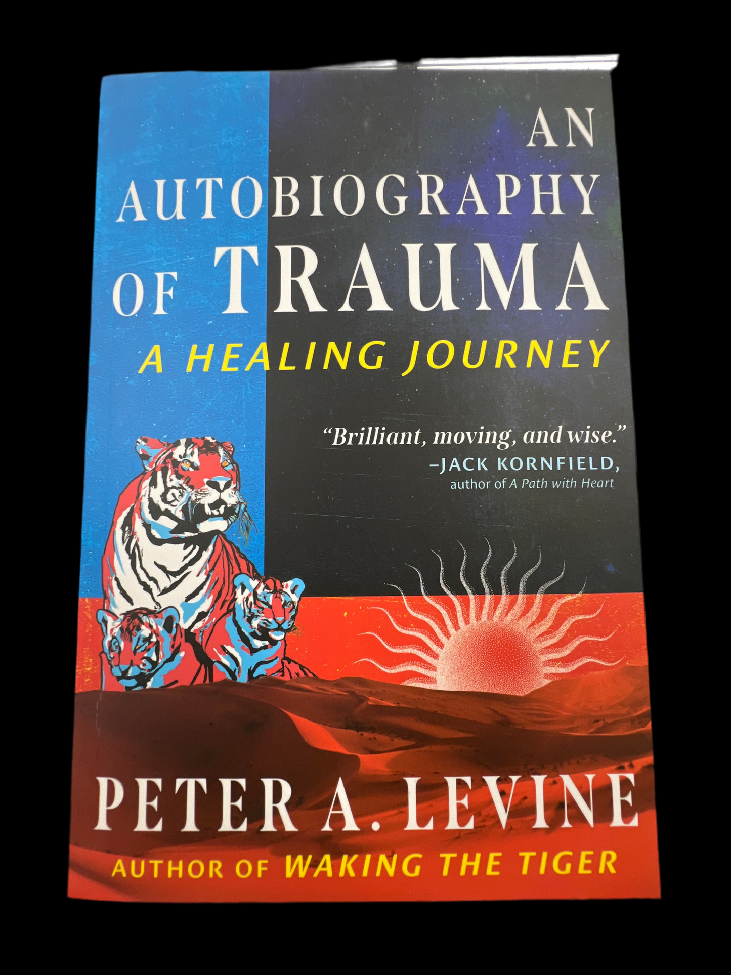 An Autobiography of Trauma: A Healing Journey
