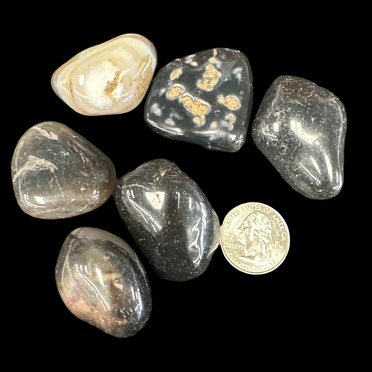 Black Sardonyx Tumbled (Large)