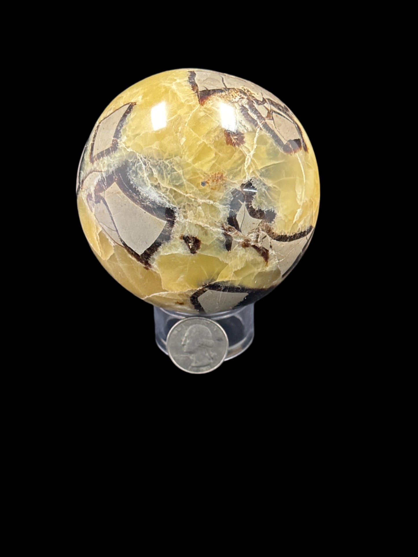 Septarian Sphere