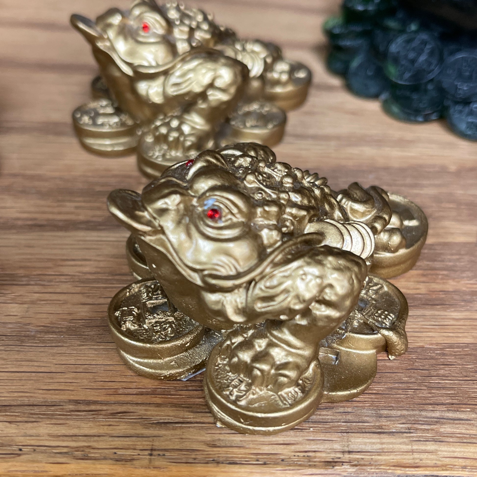 Money Frog Small