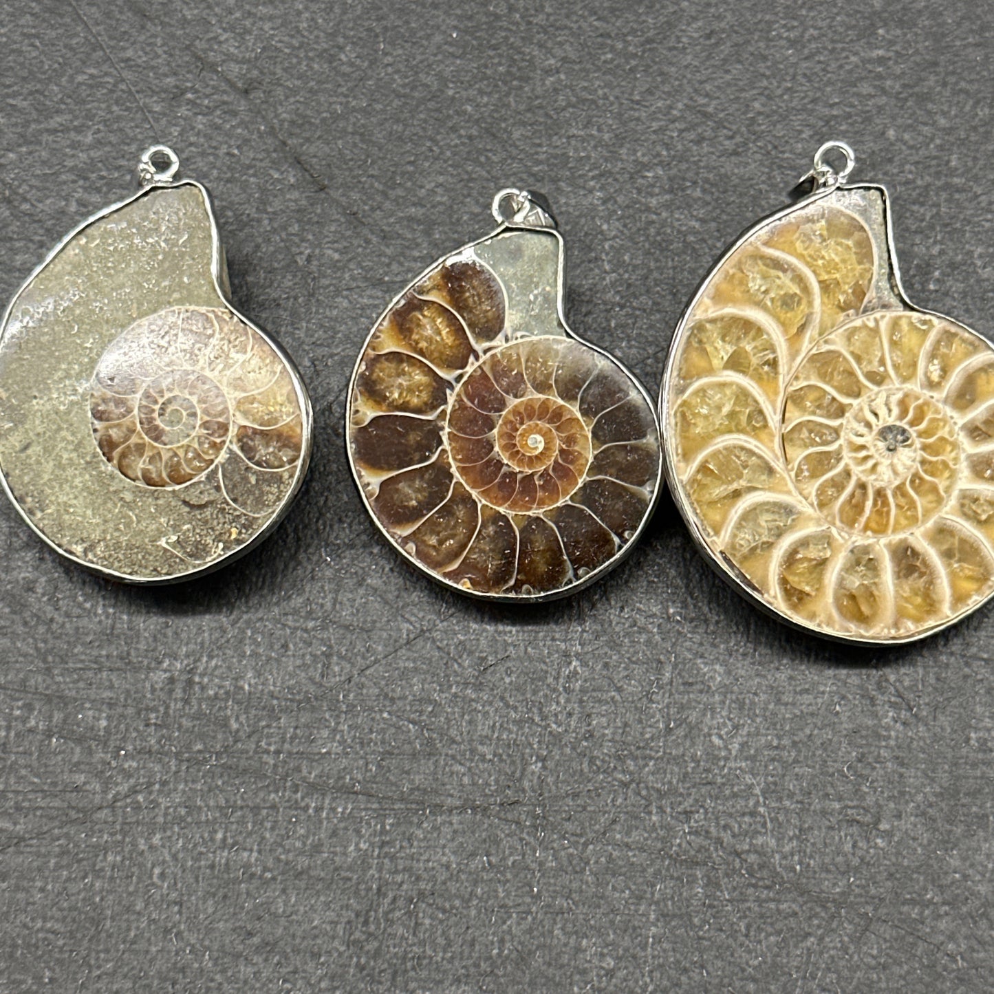 Ammonite fossil necklace